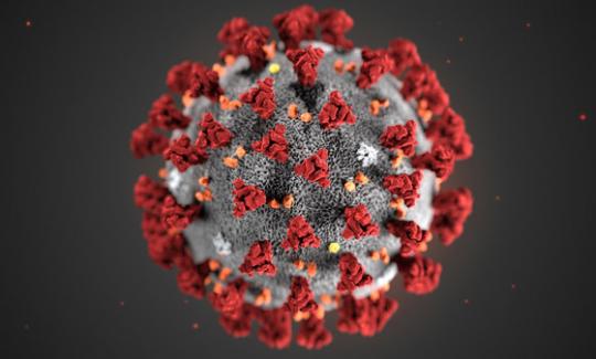 Conoravirus global outbreak