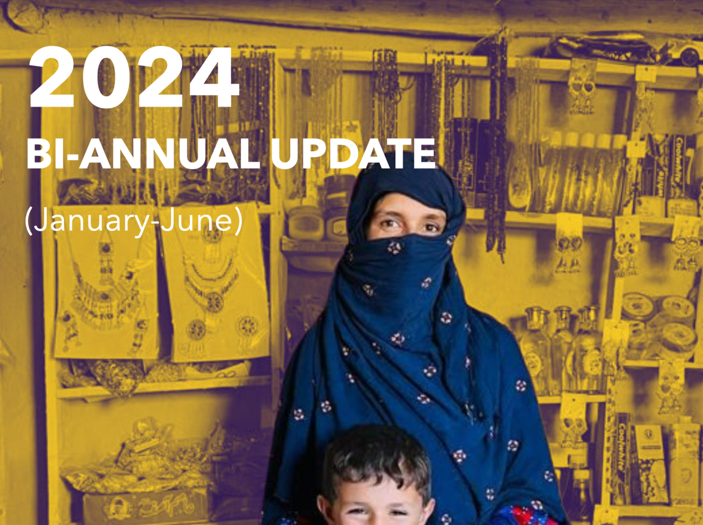 Special Trust Fund for Afghanistan - 2024 Bi-Annual Update (January-June)