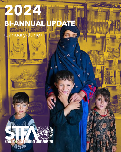 Special Trust Fund for Afghanistan - 2024 Bi-Annual Update (January-June)